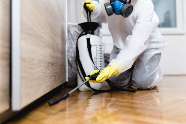 Best Residential Pest Control  in Salem, VA
