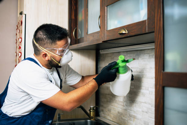 Best Pest Inspection Near Me  in Salem, VA