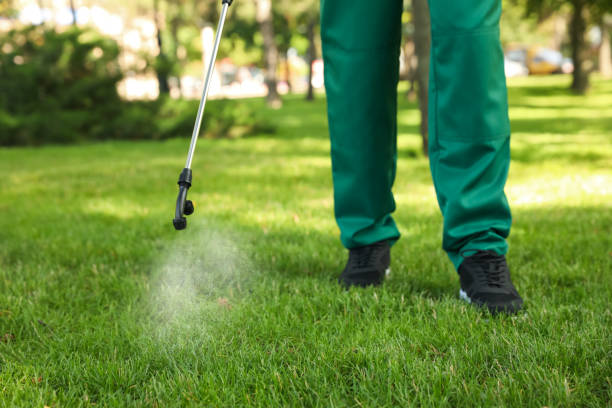 Best Local Pest Control Services  in Salem, VA