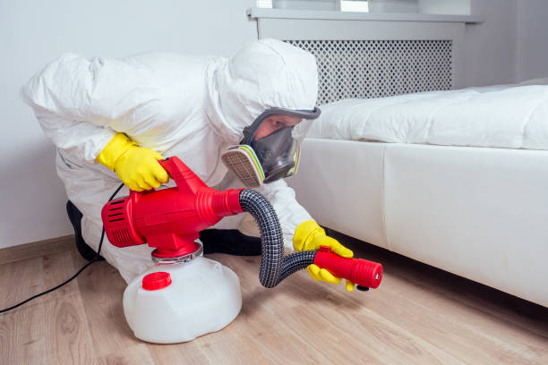Best Cockroach Control Services  in Salem, VA