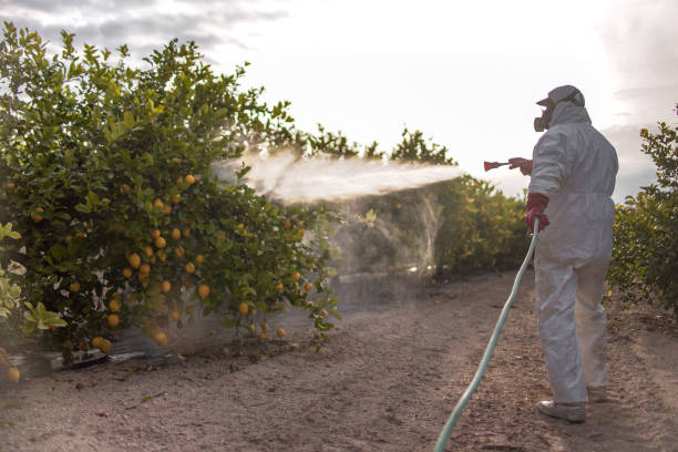 Best Affordable Pest Control Services  in Salem, VA