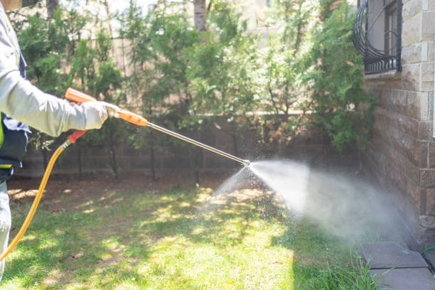 Best Termite Control Services  in Salem, VA